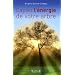 Captez l'�nergie de votre arbre