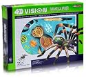 4d Vision Tarantula Spider Anatomy Model Kit