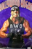 Hulk Hogan Poster~ Hollywood Hogan~ Rare Vintage Poster Printed In 1998!!~ Approx 23