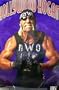 Hulk Hogan Poster~ Hollywood Hogan~ Rare Vintage Poster Printed In 1998!!~ Ap...