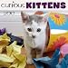 Curious Kittens - 2010 Wall Calendar
