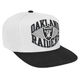 NFL Mens Snapback Hat