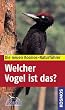 Welcher Vogel ist das?