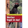 Welcher Vogel ist das?