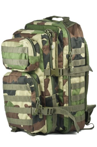 Camouflage Militaire Armée Sac à dos US assault pack 50L MOLLE Central Europe (CE)