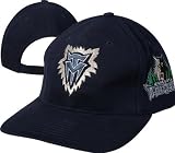 Minnesota Timberwolves Official Team Skully Hat