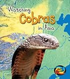 Watching cobras in Asia
