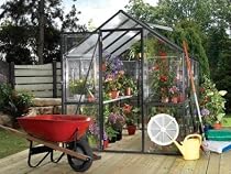 Big Sale STC Easy Grow Greenhouse, Black Frame, 6 by 8-Feet