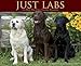 Just Labs 2015 Wall Calendar