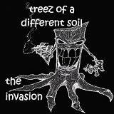 Invasion