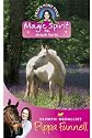 Tilly's Pony Tails 1: Magic Spirit
