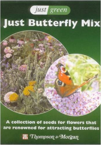 Childrens Toyshop  Outdoor Living : WILDFLOWERS FOR BUTTERFLIES - MIX PACK OF SEEDS