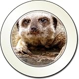 Cheeky Meerkat Car Tax Disc Holder New Animal, Ref:AMK-2T