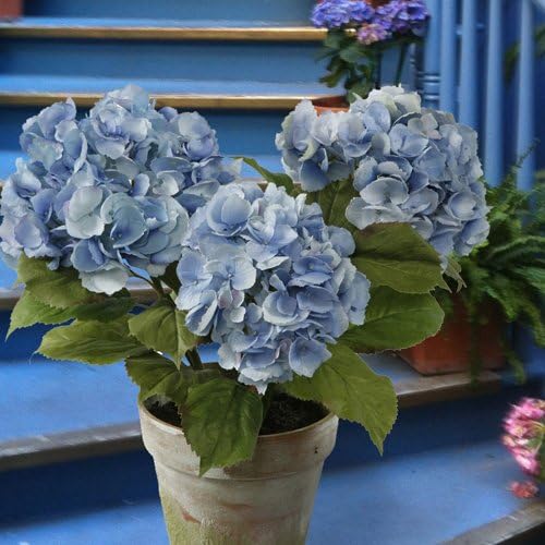 Hydrangea Potted 3 Stems 21" Light Blue