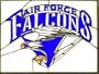 Air Force Academy Falcons Stained Glass Window Hanging