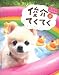 俊介てくてく　うごく! 俊介DVD付き