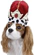 Dog Costume Hat - Her Majesty's Crown Size Large