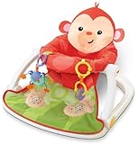 Fisher-Price Deluxe Sit-Me-Up Floor Seat