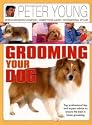 Grooming Your Dog