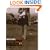Heavier Than Air (Awp Award Series in Short Fiction)