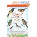 Birds of the Dominican Republic and Haiti (Princeton Field Guides)