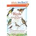 Birds of the Dominican Republic & Haiti (Princeton Field Guides)