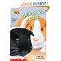 Guinea Pig Gang (Animal Ark Pets #8)