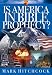Image: Shopper's Delight: Eschatology in The Books Store ~ Is America In Bible Prophecy? (Signs Of The Times Series)