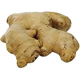 Ginger,  8 oz