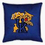 Kentucky Wildcats 22 x 22 Coordinating NCAA Sidelines Collection Floor Pillow from Kentex (Set
