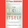 The Brain That Changes Itself: Personal Triumphs from the Frontiers of Brain Science