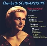 Produkt-Bild: Diva Assoluta [FR Import]