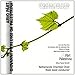Part & Palestrina
