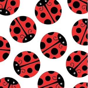 Click to buy Ladybug Party Supplies 13