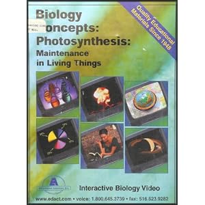 Biology Concepts: Photosynthesis (Maintenance in Living Things) [1 VHS Video and Teacher's Guide]
