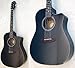 FENDER CD-60CE/BK GNgbNAR[XeBbNM^[