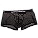Men's Underwears Sexy See-through Boxers Briefs 3 Size