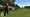 Tiger Woods PGA Tour 10 Wii Motion Plus Bundle