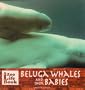 Beluga Whales and Their Babies (Zoo Life Book)