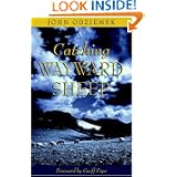 Catching Wayward Sheep by John Odziemek