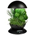 AeroGarden 3 with Gourmet Herbs