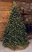 GKI Bethlehem 6.5' Hunter Fir Prelit Christmas Tree