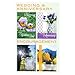 Paper Craft Moments to Treasure Assorted All Occasion Greeting Cards with KJV Scripture, 48 Count (IG68962)