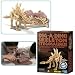 Dig-A-Dino Skeleton Stegosaurus [Spielzeug]