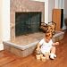 Baby : Prince Lionheart Cushiony Fireplace Guard