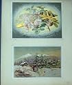 CHRISTMAS NEW YEAR CARDS c1880 VICTORIAN SCRAPBOOK