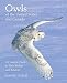 Owls of the United States and Canada: A Complete Guide to Their Biology and Behavior