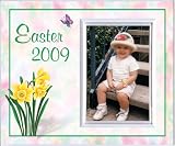 Easter 2009 Daffodils - Picture Frame Gift