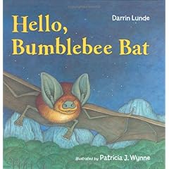 Hello, Bumblebee Bat