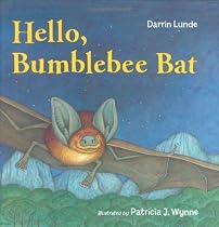 Hello, Bumblebee Bat